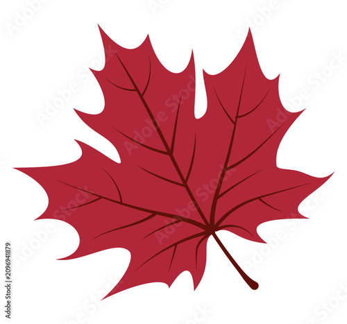 Maple leaf isolated on transparent background. Hand drawn vector illustration in flat style. Botanical element for autumnal design