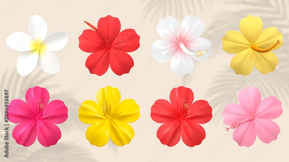 Obraz premium Colorful Summer flower element set