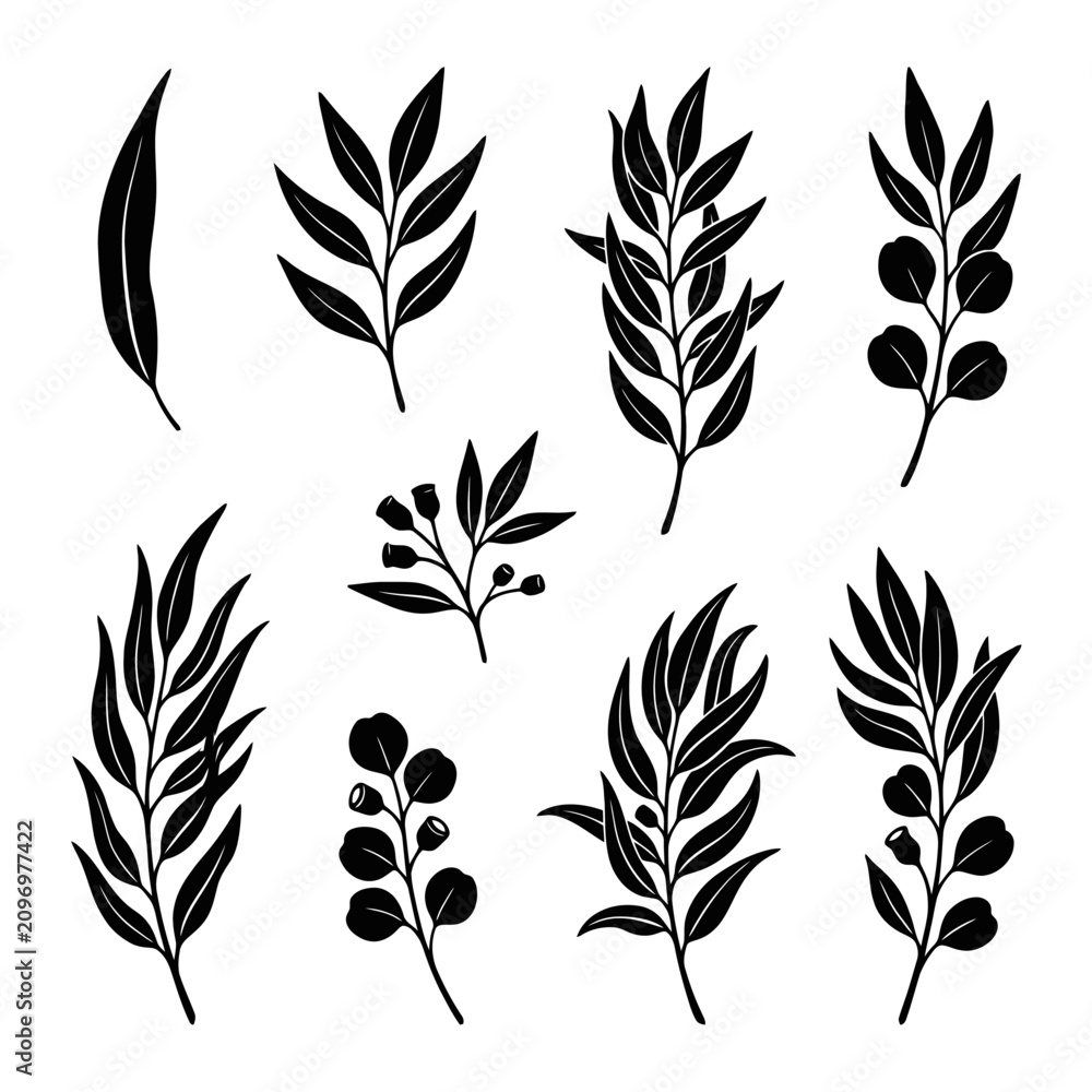 Fototapeta premium Collection of Hand-Drawn Botanical Silhouettes