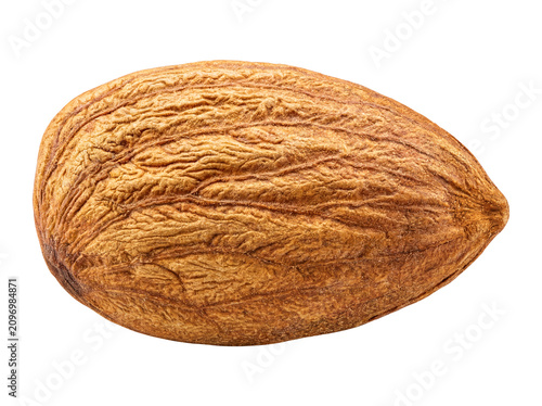 Whole Almond Nut Isolated on Transparent Background