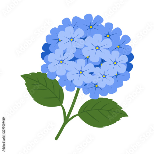 Blue Hydrangea Flower Garden Bloom Illustration