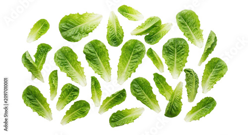 Fresh green lettuce leaves arranged in a circle on a white background