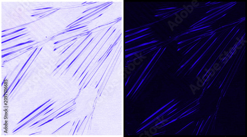 Tableau sur toile Microscopic view of muscle fibers, blue fluorescent skeletal muscle tissue under