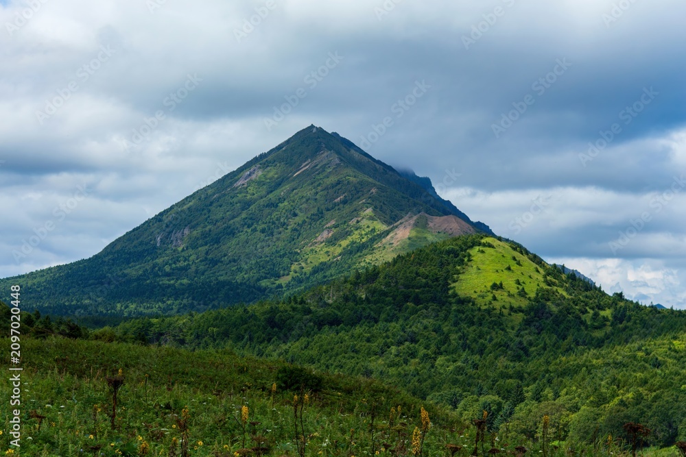 Fototapeta premium A majestic green mountain with a distinct pyramidal peak rises above a dense forest, its slopes covered in vibrant vegetation, with a dramatic sky of heavy grey clouds overhead