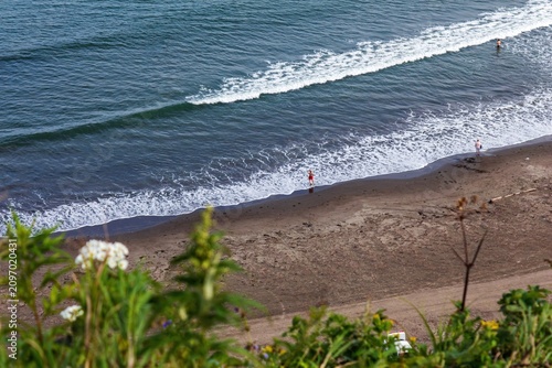 Photos A high-angle beach view with a blurred foreground of wildflowers and green folia