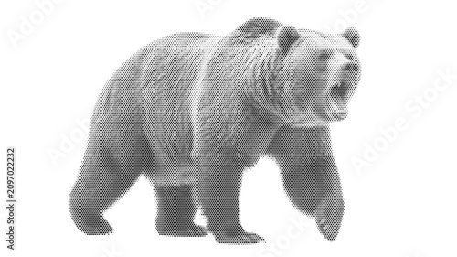Vászonkép brown massive bear grizzly halftone predator nature wild mammal wildlife vector
