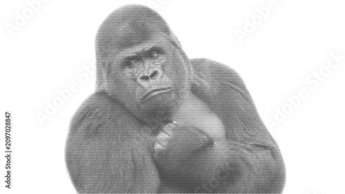 Tableau sur toile halftone animal monkey ape gorilla jungle primate mammal nature wild vector illu