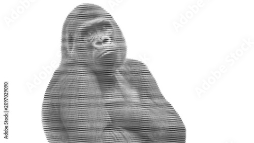 Obraz na plátně strong gorilla ape monkey halftone wild nature mammal primate vector illustratio