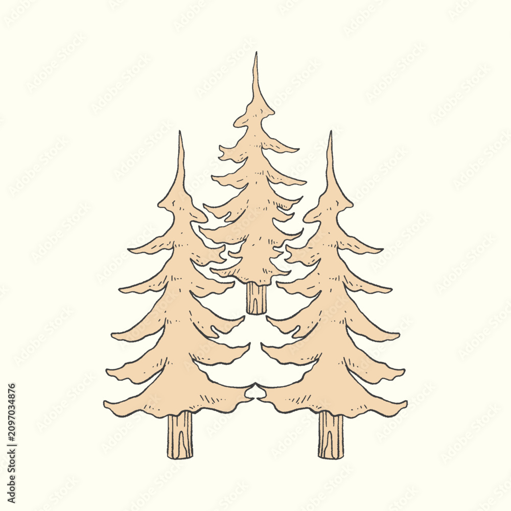Obraz premium Hand-drawn vintage pine trees forest nature illustration
