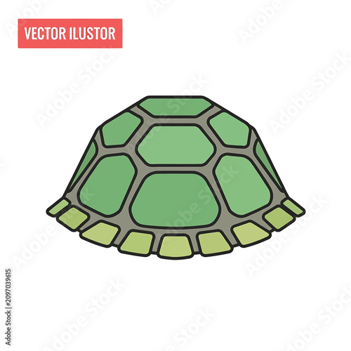 Cuadro en lienzo Green Turtle Shell Vector Illustration.