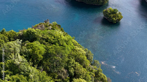 Quadro su tela Aerial View of Lush Tropical Rock Islands in Palau