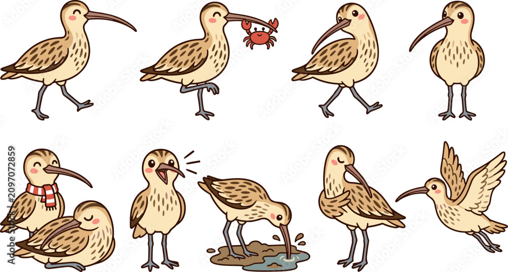 Obraz premium Cute curlew sandpiper bird vector cartoon character set featuring friendly shorebird eating crab flying sleeping standing probing mud in various happy wildlife poses