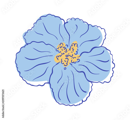 Hibiscus flower icon with blue line decorative element. Whimsical hand drawn watercolor mediterranean flower. Hibiscus illustration for design and decoration.