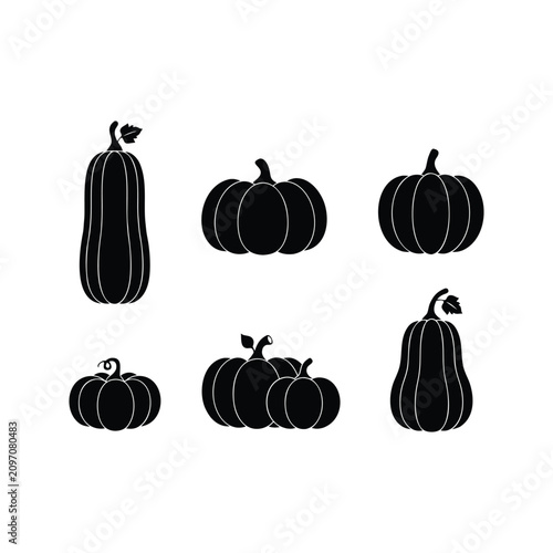 Pumpkin Collection Silhouette Vector Set