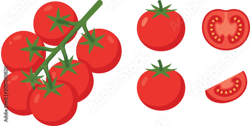 Obraz na płótnie Vector collection of fresh red cherry tomatoes on the vine featuring whole vegetables, cross section half, and a cut wedge isolated on white background