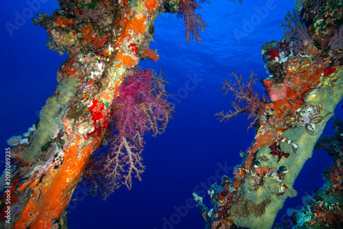 Fotografie shipwrecks in Egypt