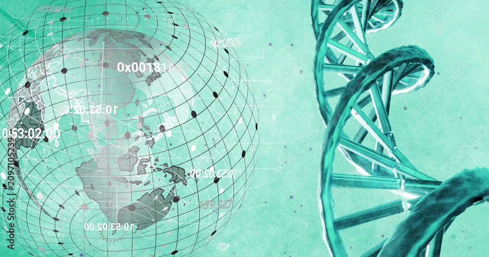 Obraz premium On play globe rotating to Americas while DNA helix shifting crossing extending visualizing genomes