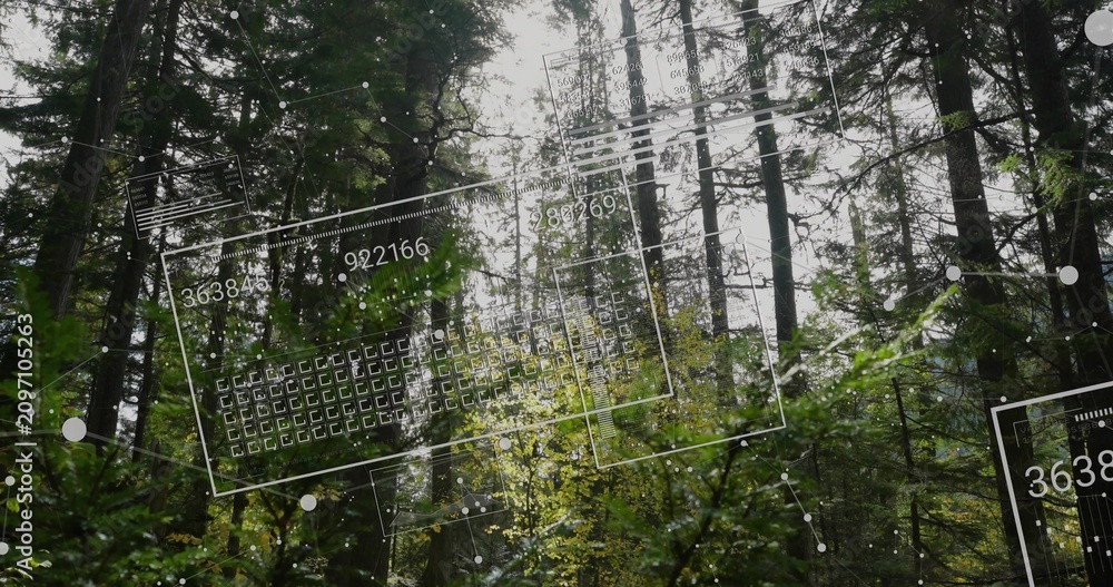 Obraz premium Sensors scanning canopy, projecting numbered panels and nodes, updating then exiting for ecology