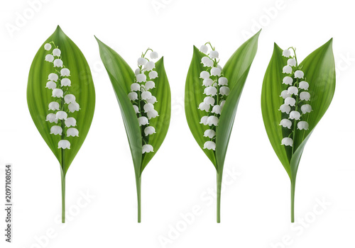 Set of lily of the valley flowers isolated on transparent background
