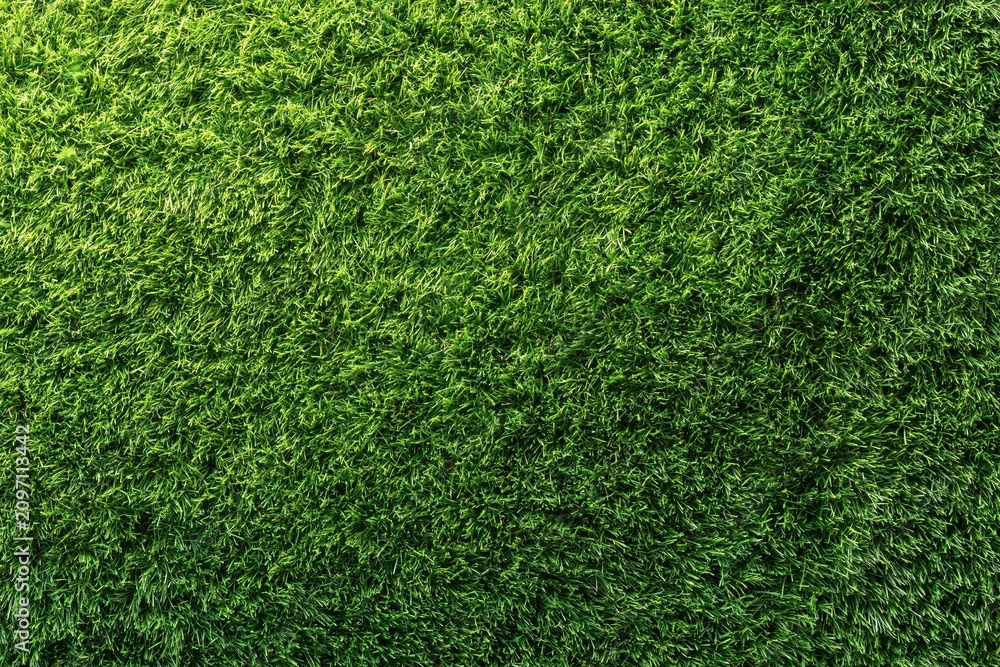 Obraz premium Green grass texture background for landscape and natural design