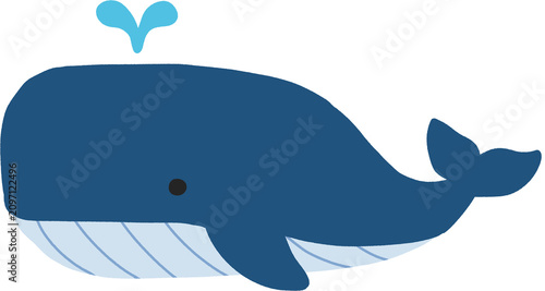 Photography whale