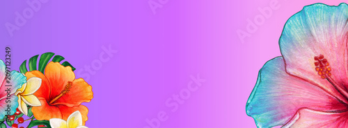 Bright Solid Color Gradient Banner/simle shapes banner,