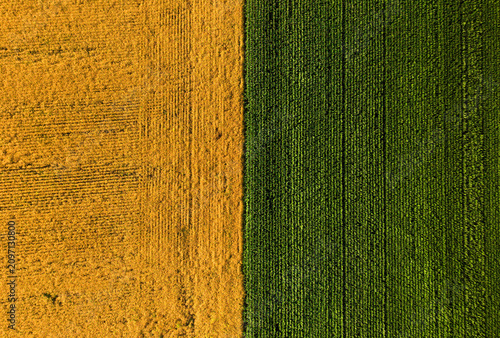 Geometric agricultural fields aerial drone view, modern farming, crop patterns and rural landscape concept