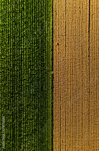 Geometric agricultural fields aerial drone view, modern farming, crop patterns and rural landscape concept