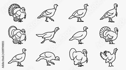 Cuadro en lienzo Minimalist Black and White Line Drawing Illustrations of Various Turkey and Guin