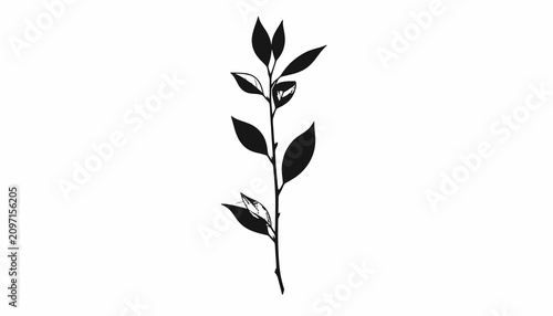 Tableau sur toile Black silhouette of a small plant.