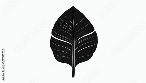 Billede på lærred Black leaf illustration with veins.