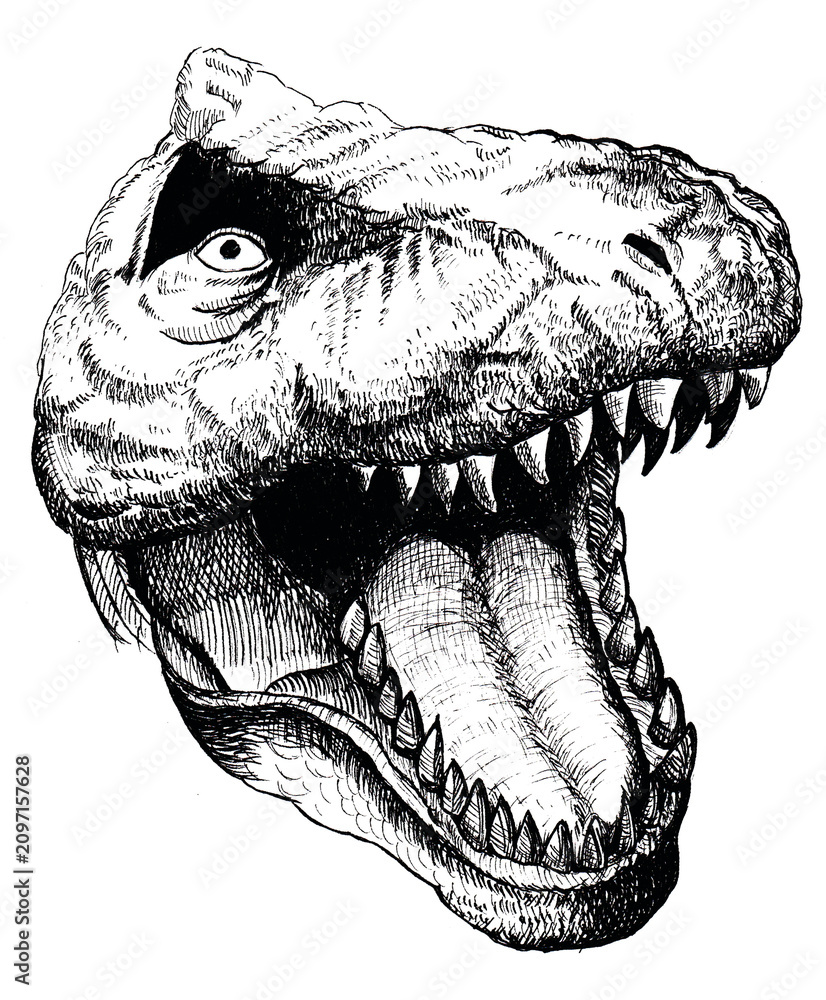 Naklejka premium Hand Drawn Dinosaur Head on White Background 