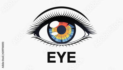 Photos Very beautiful realistic vector illustration of a human eye featuring detailed iris, pupil, cornea, and a bold label reading EYE, isolated on white background