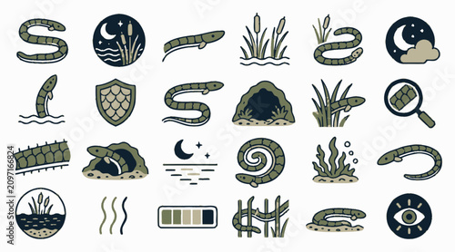Foto Diverse Amphibian and Reptile Icon Collection.