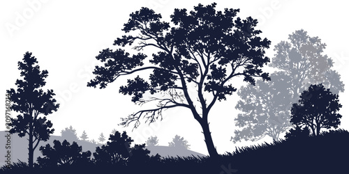 Konstfotografi Dense woodland panorama silhouette with tall trees against bright sky white back