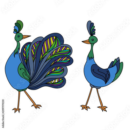 vector illustration of stylized peacock birds decorated with intricate ethnic patterns and colorful feathers