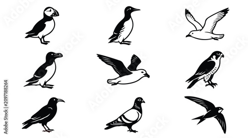 Foto Vintage bird illustrations set of 9 vector icons, black and white seabird and ra