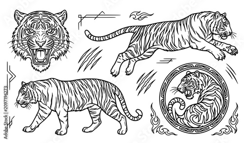 Photography Hand Drawn Tiger Illustration Collection Featuring Walking Resting Jumping and W