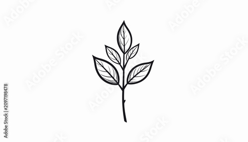 Foto Simple line drawing of a leaf.