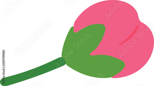 Vászonkép A single pink flower bud with green leaves and stem, ready to bloom