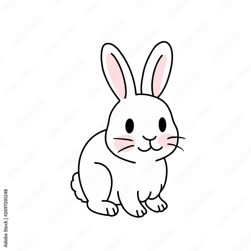 Fototapeta premium vector illustration of a rabbit vector illustration of a bunny