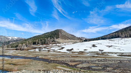Stunning contrast of evergreen pine forest and snow-capped peaks under a blue sky, winter wonderland concept.