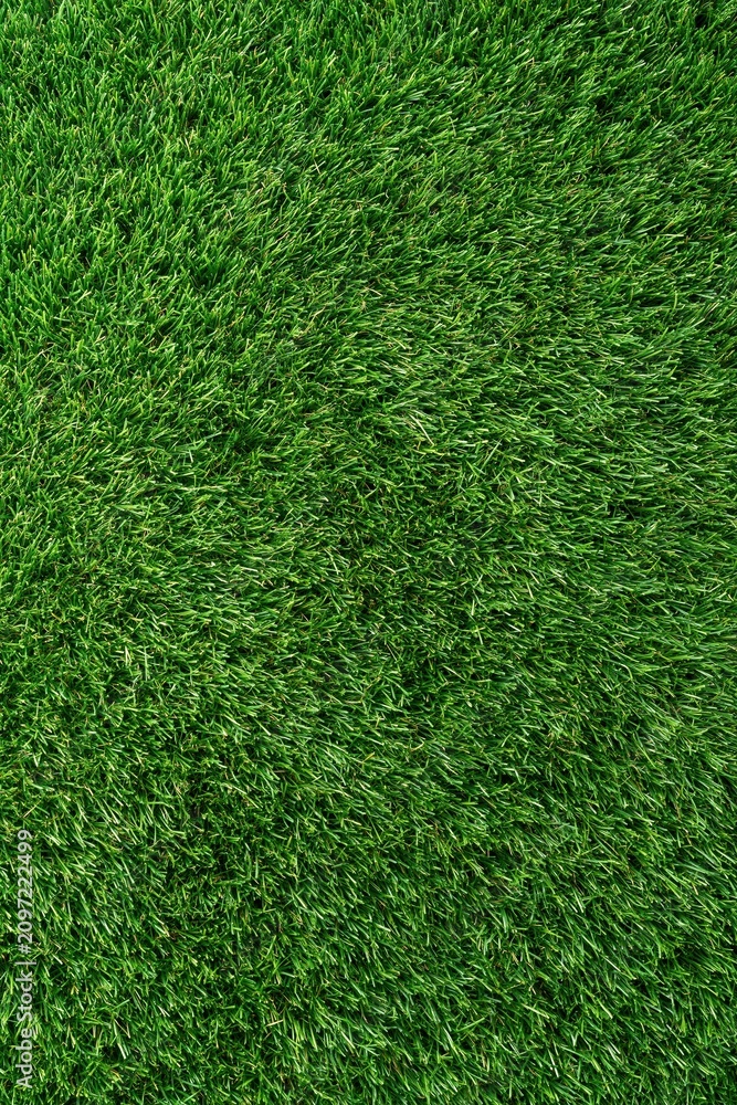 Obraz premium Green grass texture background with even lawn pattern