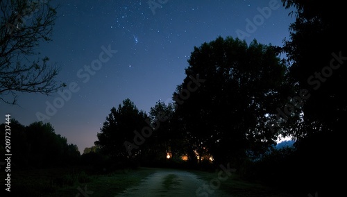 Rural path through trees under starry night sky with distant lights