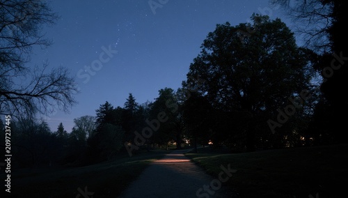 Moonlit path through dark trees under a starry night sky