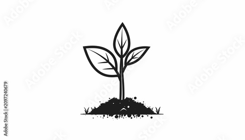 Foto Small plant growing in the soil.