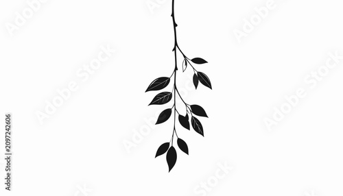 Tableau sur toile Black leafy branch with small leaves.