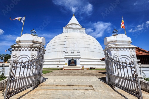 Majestic White Stupa of Sri Lanka