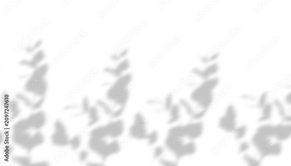 Fototapeta premium Shadow overlay of leaves on a white wall, natural light effect for product presentation, minimalist aesthetic background isolated on transparent background