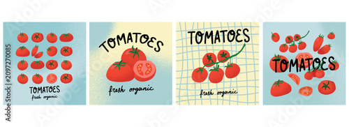 Tomatoes card set. Hand drawn vegetable assortment with whole and sliced pieces, fresh produce local food, organic farming and grocery market food concept. Vector cartoon flat isolated illustration